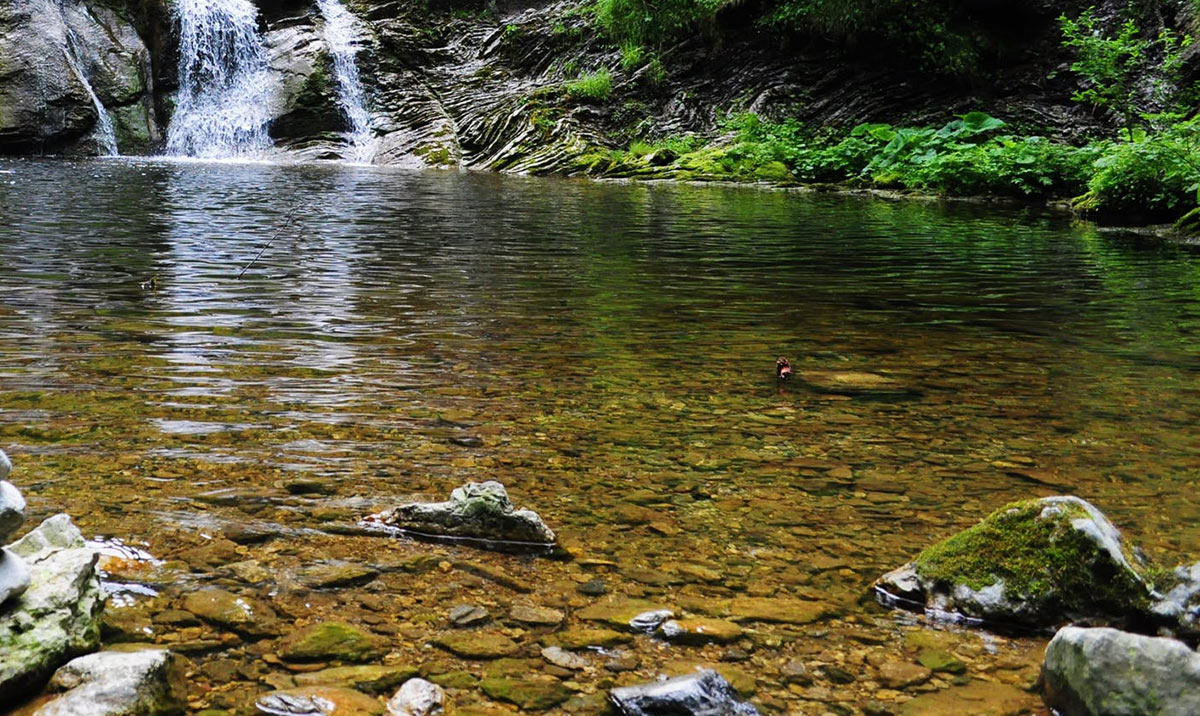 Mountain Water