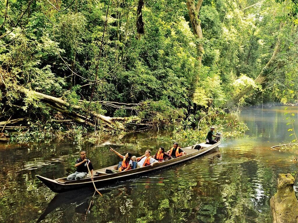 Taman Negara Boat