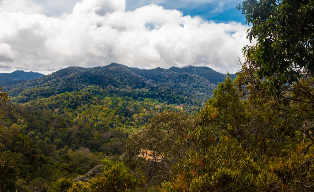 Taman Negara National Park