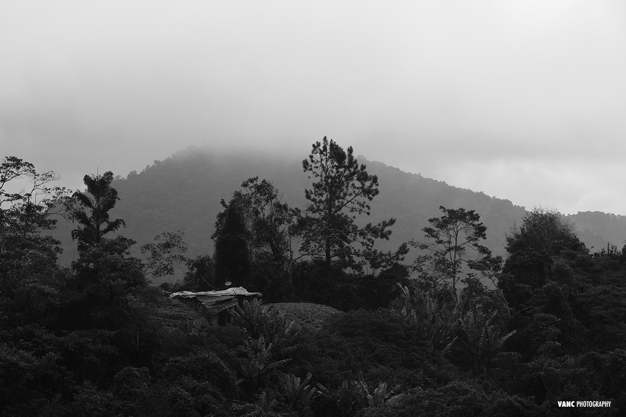 Black & White Landscape Cameron Highlands