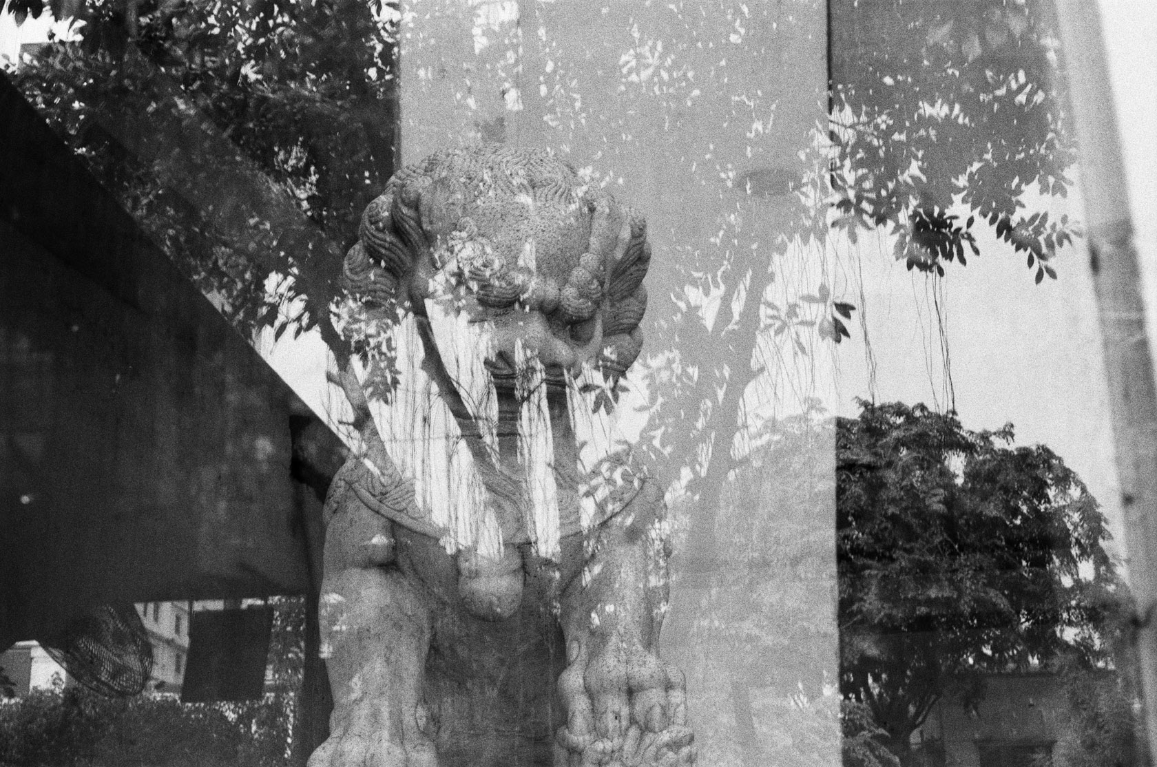 Double Exposure Film Project