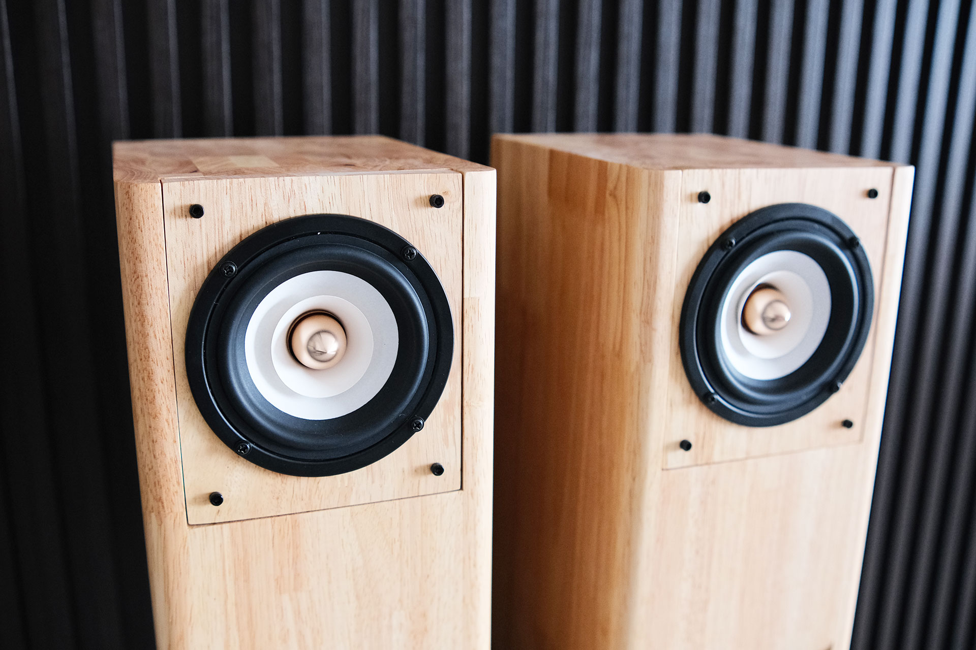 DIY Iwistao Full-Range Speaker