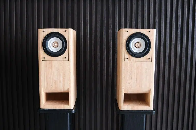 Iwistao Full-Range Speaker Build