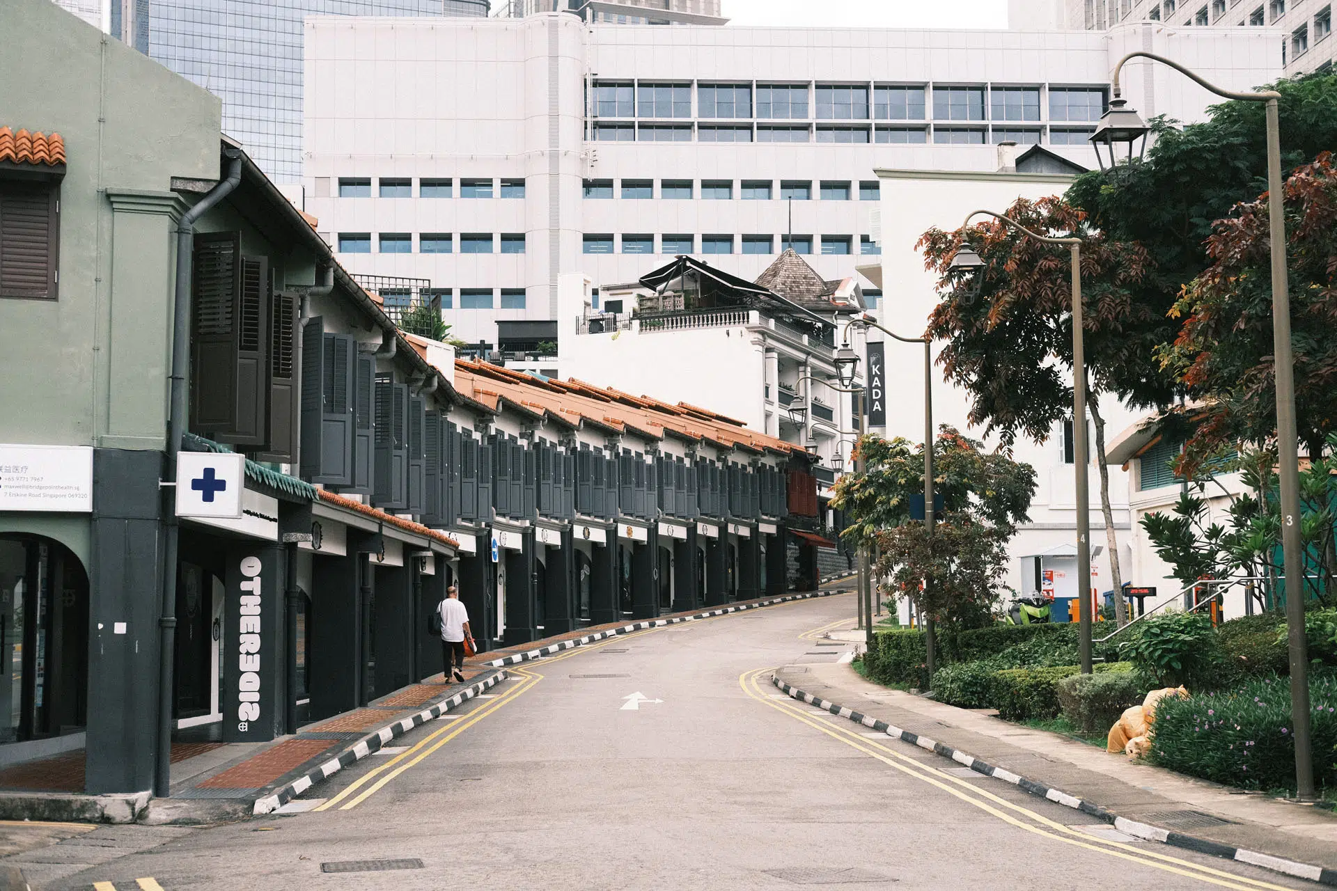 Singapore Landscape Kodak Gold 200 Film Recipe